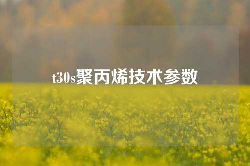 t30s聚丙烯技术参数