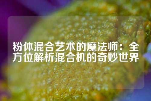 粉体混合艺术的魔法师：全方位解析混合机的奇妙世界