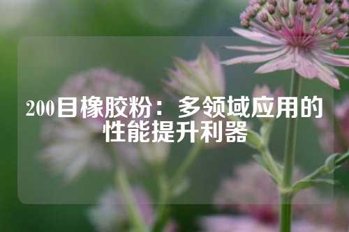 200目橡胶粉：多领域应用的性能提升利器