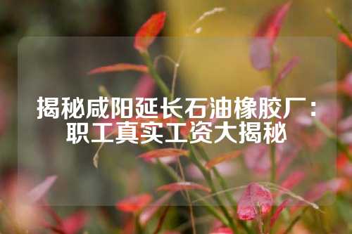 揭秘咸阳延长石油橡胶厂：职工真实工资大揭秘