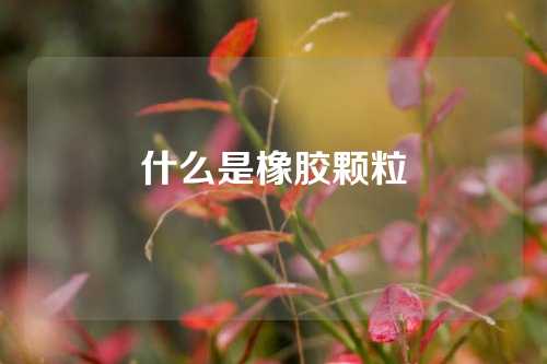 什么是橡胶颗粒