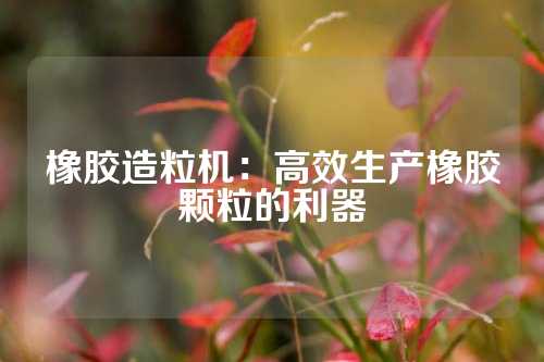 橡胶造粒机：高效生产橡胶颗粒的利器