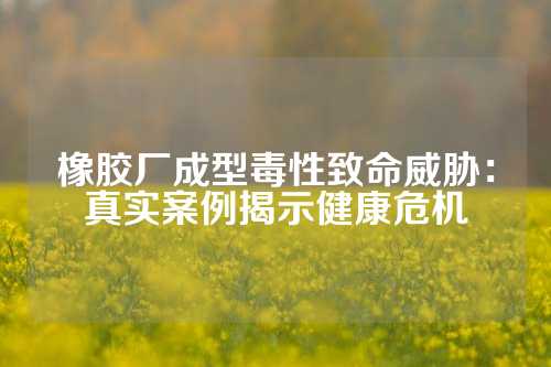 橡胶厂成型毒性致命威胁：真实案例揭示健康危机