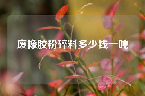 废橡胶粉碎料多少钱一吨