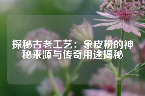 探秘古老工艺：象皮粉的神秘来源与传奇用途揭秘