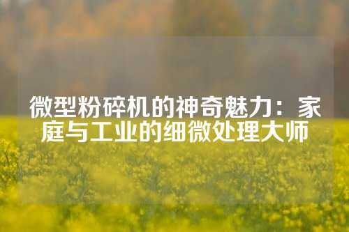 微型粉碎机的神奇魅力：家庭与工业的细微处理大师