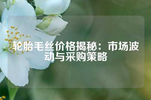 轮胎毛丝价格揭秘：市场波动与采购策略