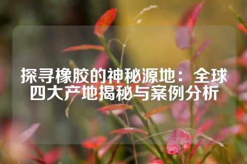 探寻橡胶的神秘源地：全球四大产地揭秘与案例分析