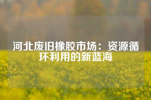 河北废旧橡胶市场：资源循环利用的新蓝海