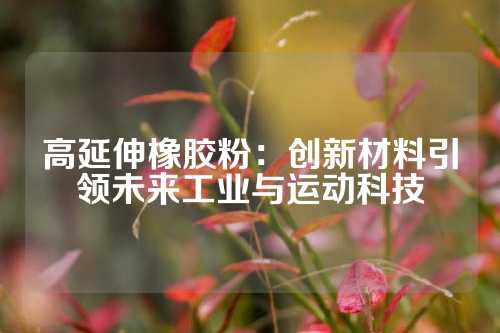 高延伸橡胶粉：创新材料引领未来工业与运动科技