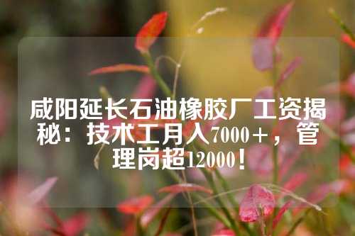 咸阳延长石油橡胶厂工资揭秘：技术工月入7000+，管理岗超12000！