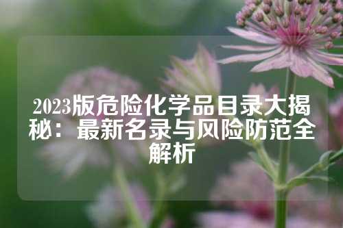 2023版危险化学品目录大揭秘：最新名录与风险防范全解析