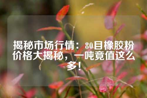 揭秘市场行情：80目橡胶粉价格大揭秘，一吨竟值这么多！