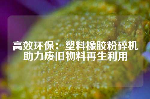 高效环保：塑料橡胶粉碎机助力废旧物料再生利用