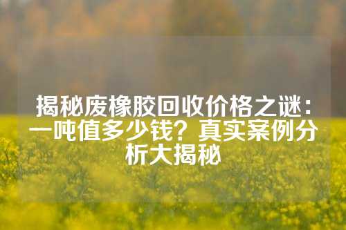 揭秘废橡胶回收价格之谜：一吨值多少钱？真实案例分析大揭秘