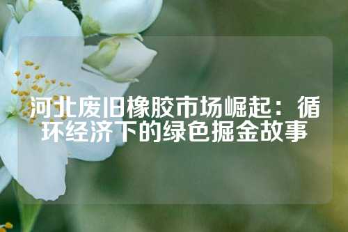 河北废旧橡胶市场崛起：循环经济下的绿色掘金故事