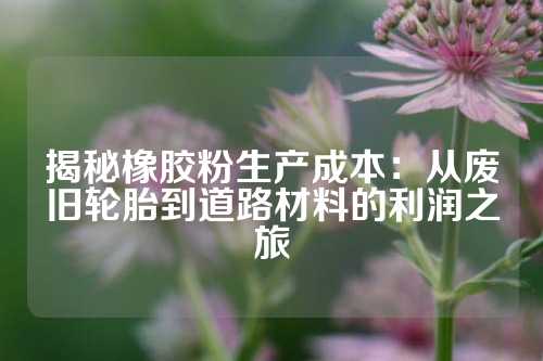 揭秘橡胶粉生产成本：从废旧轮胎到道路材料的利润之旅