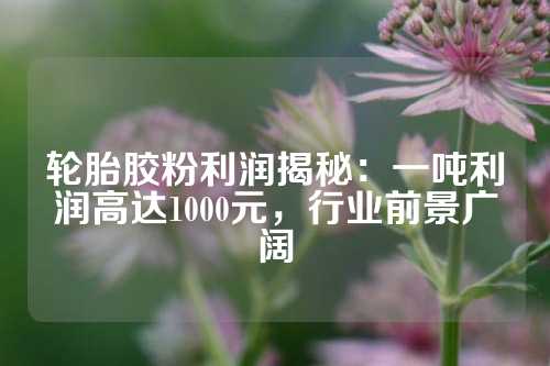 轮胎胶粉利润揭秘：一吨利润高达1000元，行业前景广阔