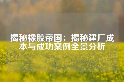 揭秘橡胶帝国：揭秘建厂成本与成功案例全景分析