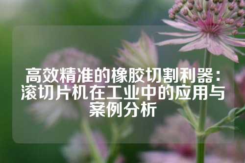 高效精准的橡胶切割利器：滚切片机在工业中的应用与案例分析