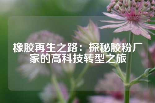 橡胶再生之路：探秘胶粉厂家的高科技转型之旅