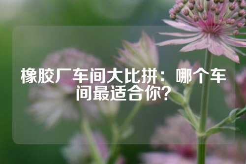 橡胶厂车间大比拼：哪个车间最适合你？