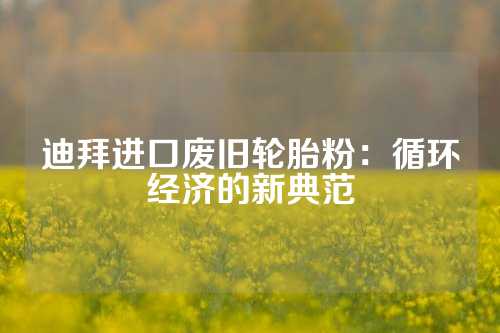 迪拜进口废旧轮胎粉：循环经济的新典范