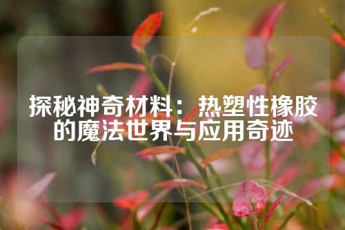 探秘神奇材料：热塑性橡胶的魔法世界与应用奇迹