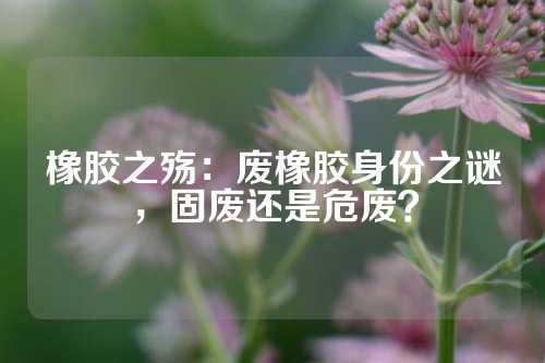 橡胶之殇：废橡胶身份之谜，固废还是危废？