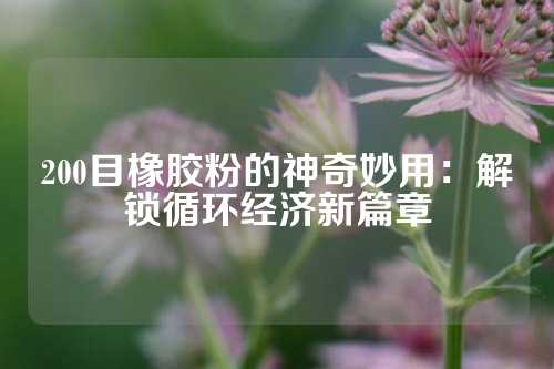 200目橡胶粉的神奇妙用：解锁循环经济新篇章