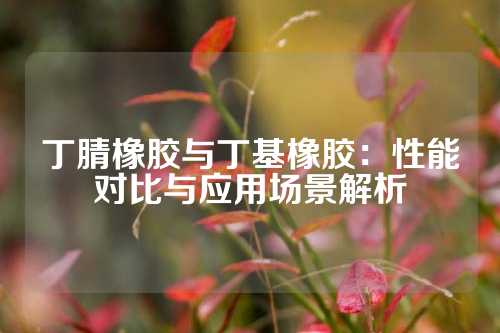 丁腈橡胶与丁基橡胶：性能对比与应用场景解析
