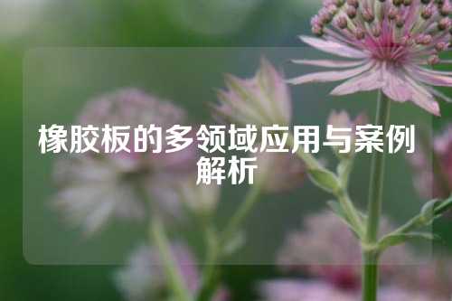 橡胶板的多领域应用与案例解析
