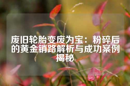 废旧轮胎变废为宝:粉碎后的黄金销路解析与成功案例揭秘