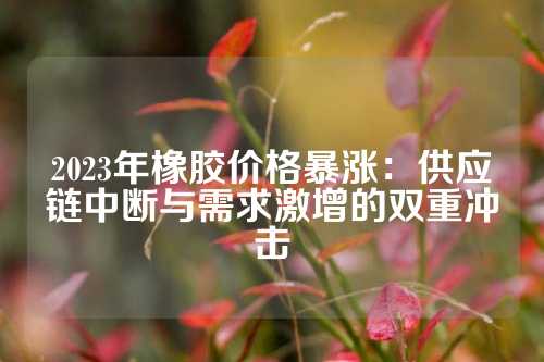 2023年橡胶价格暴涨：供应链中断与需求激增的双重冲击