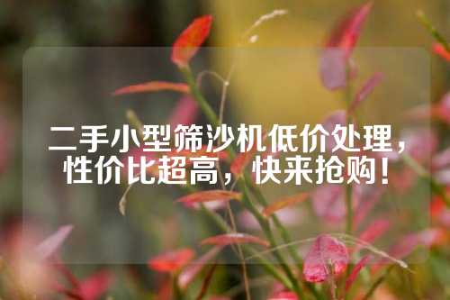 二手小型筛沙机低价处理，性价比超高，快来抢购！