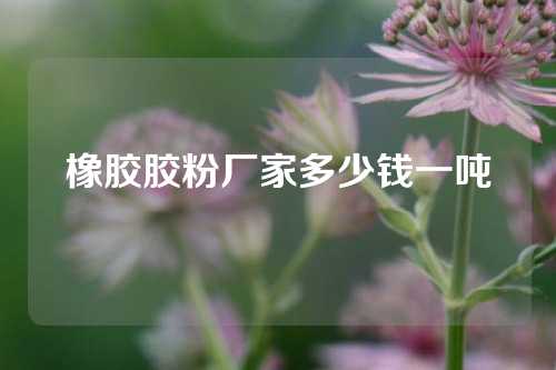 橡胶胶粉厂家多少钱一吨