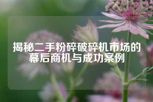 揭秘二手粉碎破碎机市场的幕后商机与成功案例