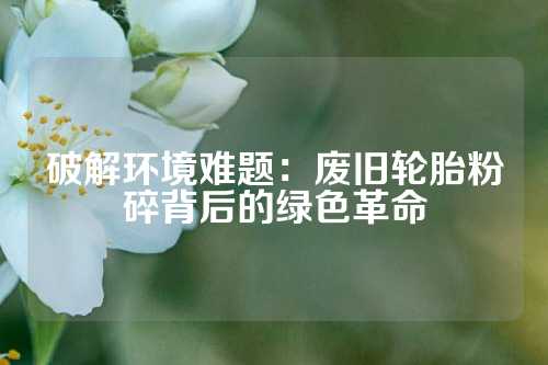 破解环境难题：废旧轮胎粉碎背后的绿色革命