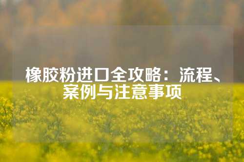 橡胶粉进口全攻略：流程、案例与注意事项