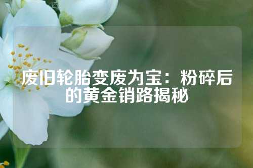 废旧轮胎变废为宝：粉碎后的黄金销路揭秘