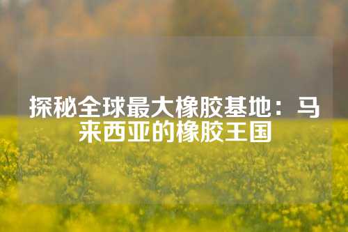 探秘全球最大橡胶基地：马来西亚的橡胶王国