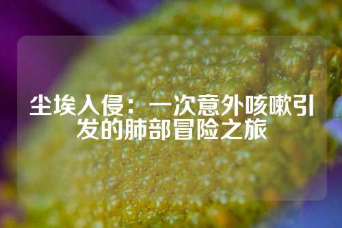 尘埃入侵：一次意外咳嗽引发的肺部冒险之旅