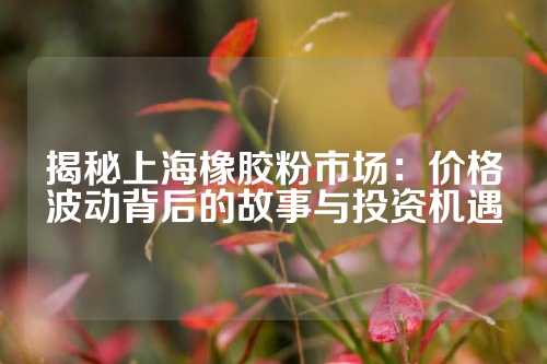 揭秘上海橡胶粉市场：价格波动背后的故事与投资机遇
