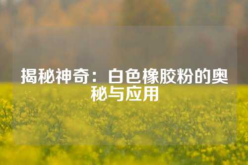 揭秘神奇：白色橡胶粉的奥秘与应用