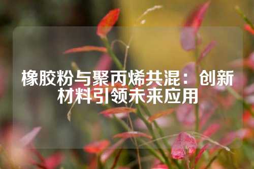 橡胶粉与聚丙烯共混：创新材料引领未来应用