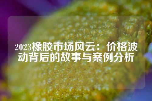 2023橡胶市场风云：价格波动背后的故事与案例分析