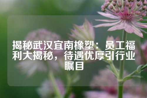 揭秘武汉宜南橡塑：员工福利大揭秘，待遇优厚引行业瞩目