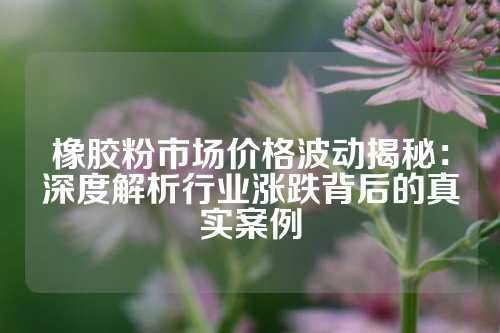 橡胶粉市场价格波动揭秘：深度解析行业涨跌背后的真实案例