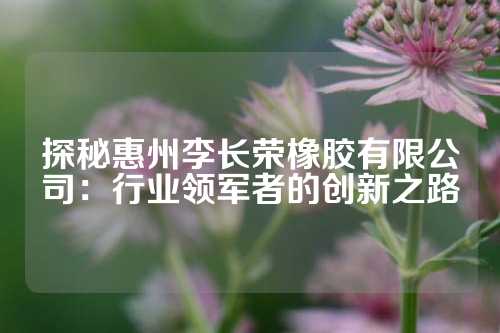探秘惠州李长荣橡胶有限公司：行业领军者的创新之路