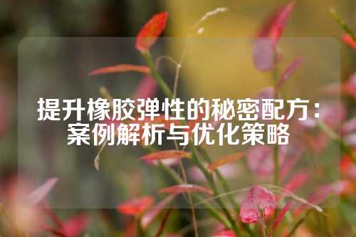 提升橡胶弹性的秘密配方：案例解析与优化策略